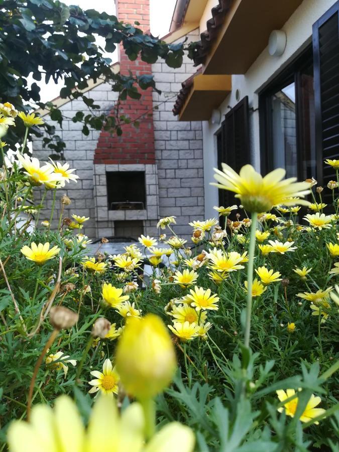 Apartments Eliva Umag Luaran gambar